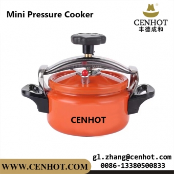 Mini Pressure Cooker for restaurant
