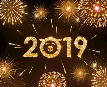 New Year’s Day of 2019 - CENHOT